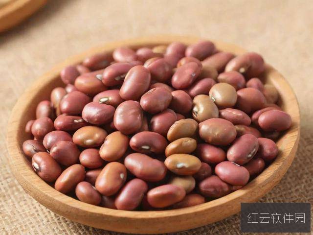 麻豆产精品,探秘一二三产区的独特魅力与卓越品质