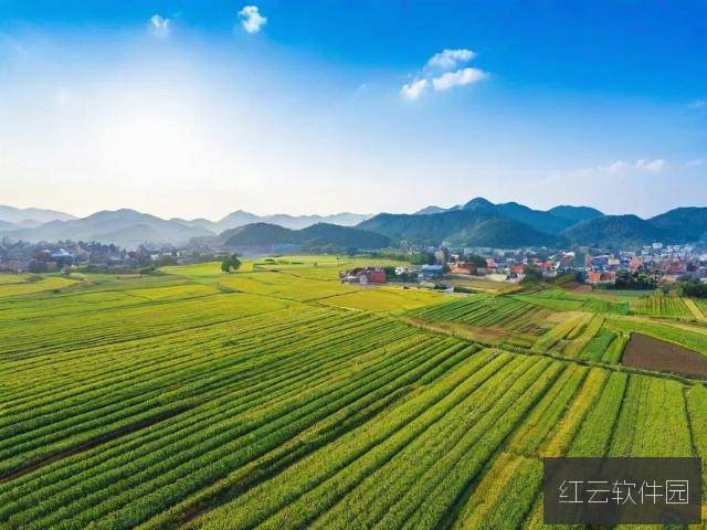 解密99精产国品一二三产区,探析最新版的产业升级路径