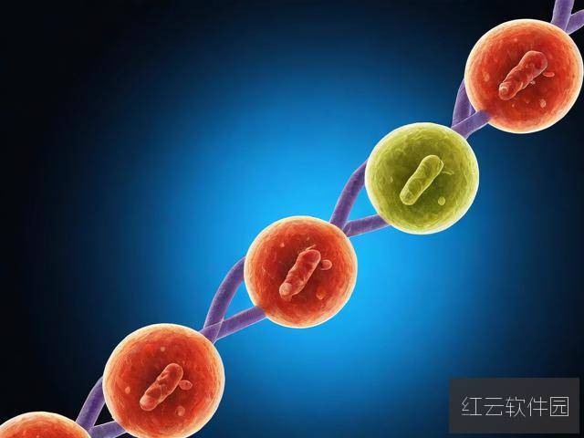 RNA与cDNA杂交，原理、应用及技术要点详解